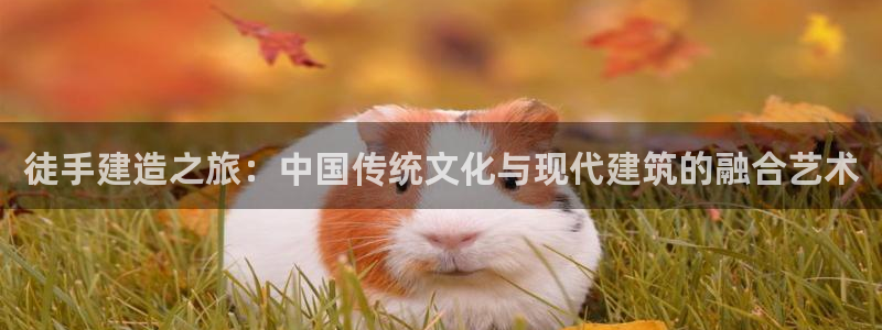 名人堂资讯官网入口：徒手建造之旅：中国传统文化与现代建筑的融合艺术