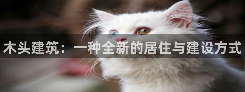 名人堂垫付金额：木头建筑：一种全新的居住与建设方式