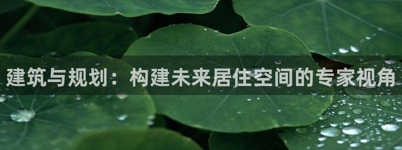 名人堂简介图片：建筑与规划：构建未来居住空间的专家视角