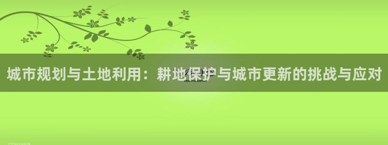 名人堂游戏上分地址：城市规划与土地利用：耕地保护与城市更新的挑战与应对