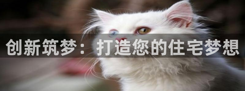 名人堂网：创新筑梦：打造您的住宅梦想