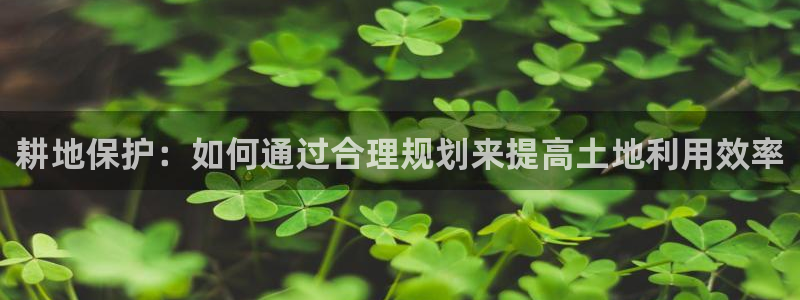 名人堂客服：耕地保护：如何通过合理规划来提高土地利用效率