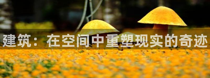 名人堂赛：建筑：在空间中重塑现实的奇迹