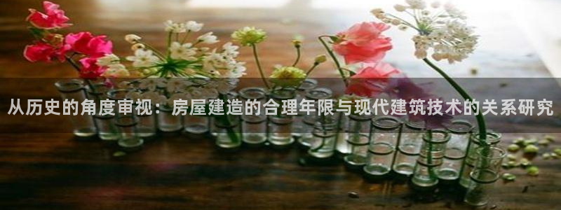 名人堂系统：从历史的角度审视：房屋建造的合理年限与现代建筑技术的关系研究