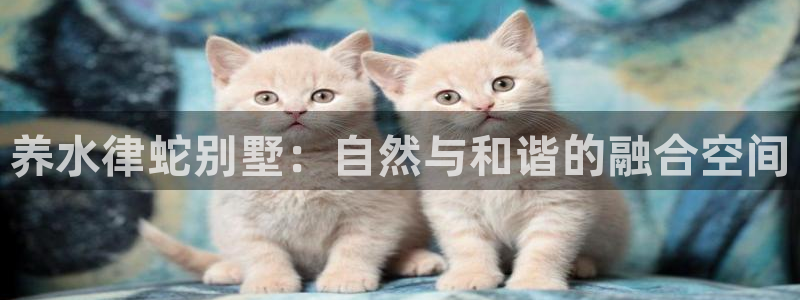 名人堂中国