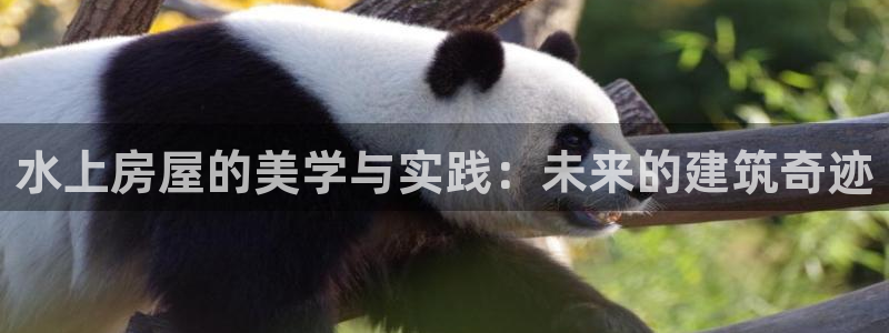 名人堂游戏大厅下载：水上房屋的美学与实践：未来的建筑奇迹