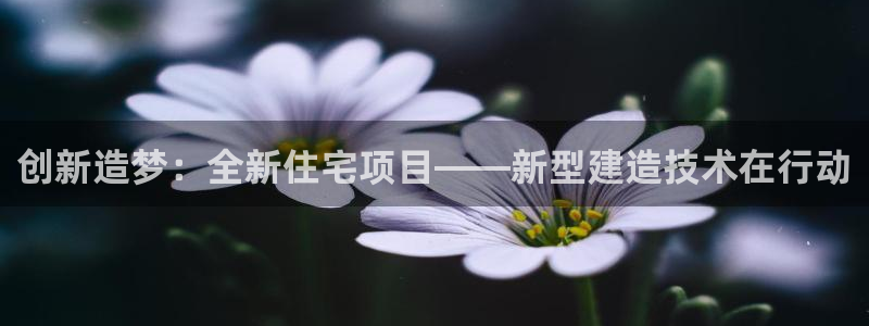 名人堂系统：创新造梦：全新住宅项目——新型建造技术在行动