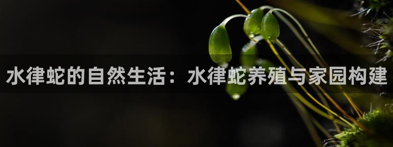 名人堂系统：水律蛇的自然生活：水律蛇养殖与家园构建