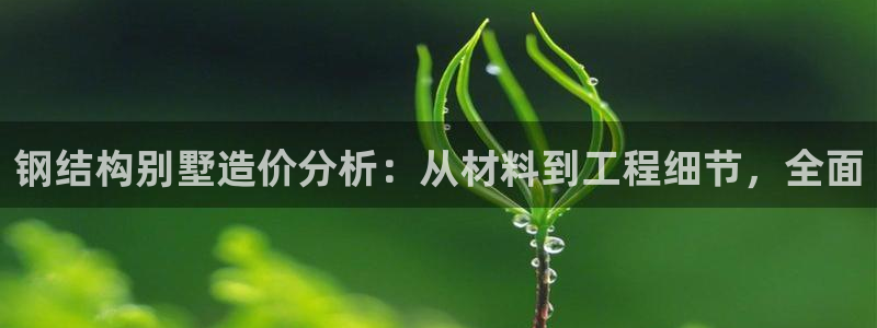 名人堂垫付金额：钢结构别墅造价分析：从材料到工程细节，全面