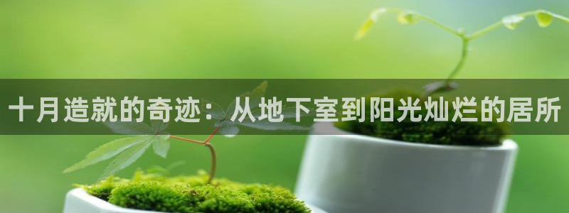 名人堂登录：十月造就的奇迹：从地下室到阳光灿烂的居所