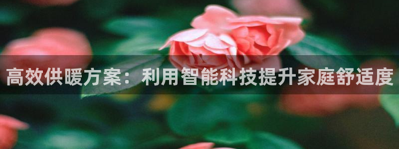 名人堂系统：高效供暖方案：利用智能科技提升家庭舒适度